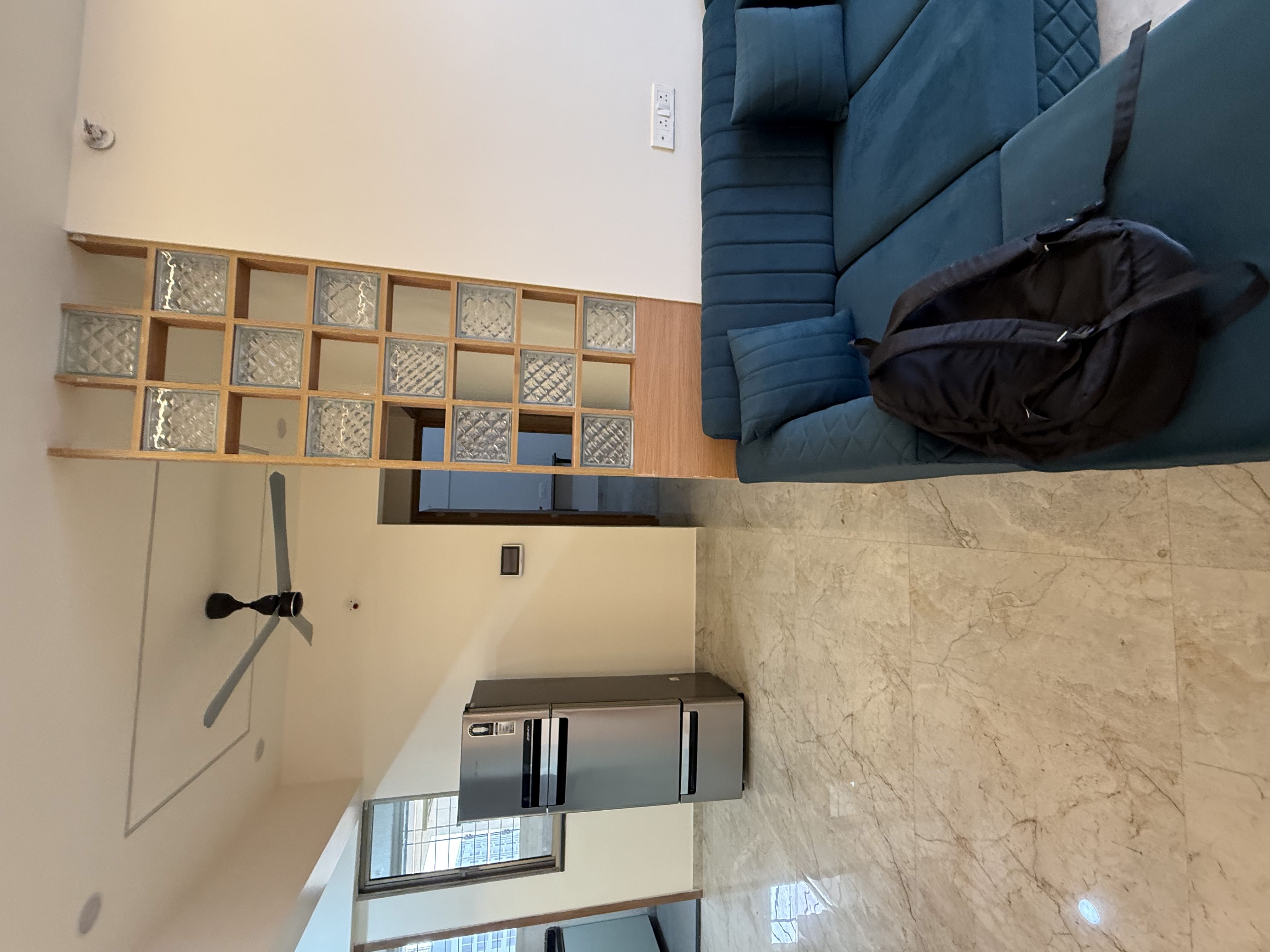 Living Room Interiors project 19